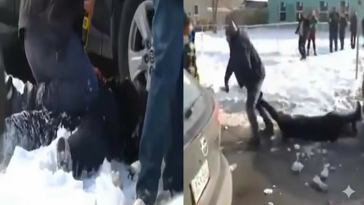 Still from viral video showing ICE agents detaining a pregnant woman on the pavement during enforcement action.